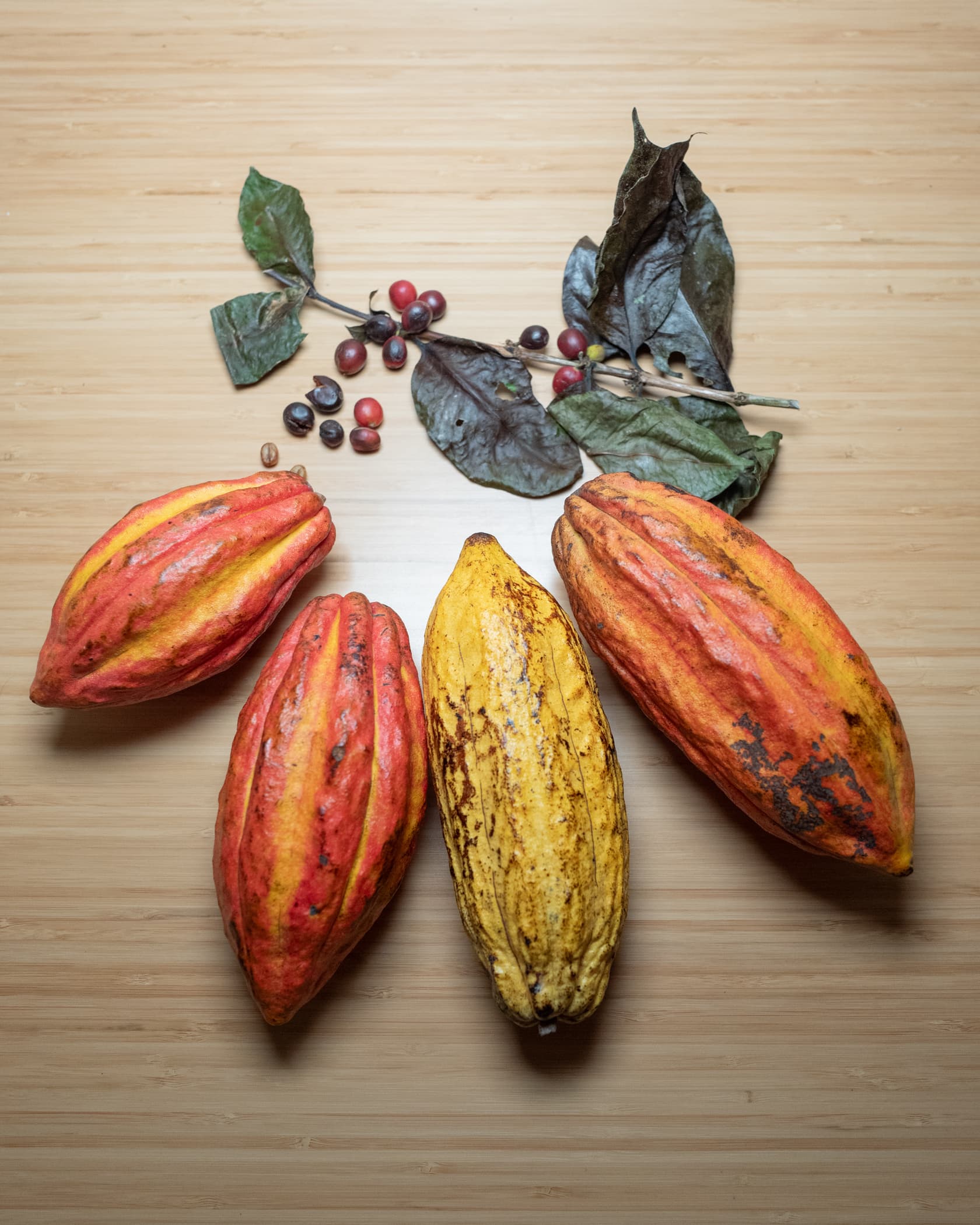 Incredible Gift from Costa Rica — image 1